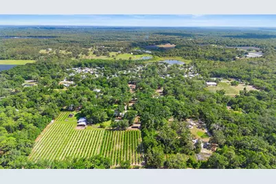 1056 Reynolds Road, De Leon Springs, FL 32130 - Photo 53