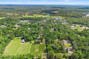 1056 Reynolds Rd, De Leon Springs, FL 32130 - Photo 53