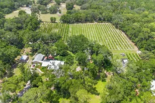 1056 Reynolds Rd, De Leon Springs, FL 32130 - Photo 75