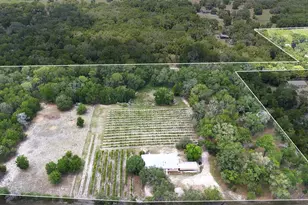 1056 Reynolds Rd, De Leon Springs, FL 32130 - Photo 3