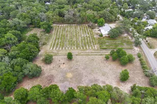 1056 Reynolds Rd, De Leon Springs, FL 32130 - Photo 59