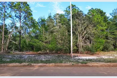 Donovan Ave, Interlachen, FL 32148 - Photo 1