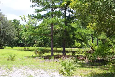 1676 Sunset Trail, Geneva, FL 32732 - Photo 5