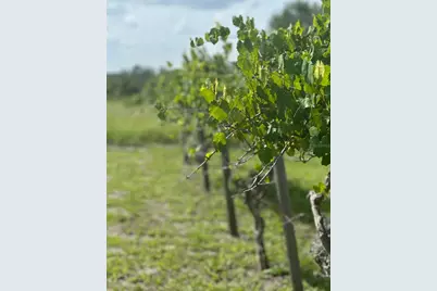 44645 Misty Isle Drive, Deland, FL 32720 - Photo 9