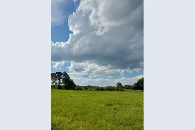 44645 Misty Isle Drive, Deland, FL 32720 - Photo 13