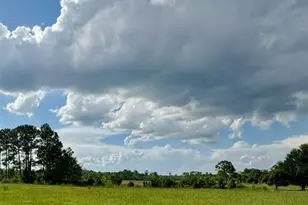 44645 Misty Isle Dr, Deland, FL 32720 - Photo 13