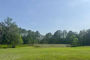 44645 Misty Isle Dr, Deland, FL 32720 - Photo 11