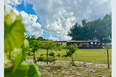 44645 Misty Isle Drive, Deland, FL 32720 - Photo 7