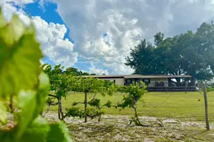 44645 Misty Isle Dr, Deland, FL 32720 - Photo 7