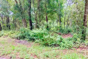 407 Raulerson Rd, Seville, FL 32190 - Photo 1