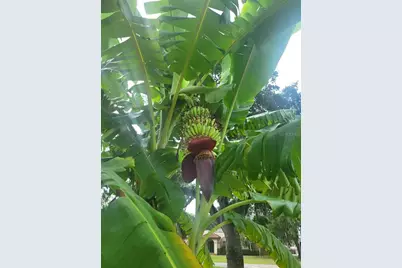 457 S Ridgewood Avenue #E, Daytona Beach, FL 32114 - Photo 7