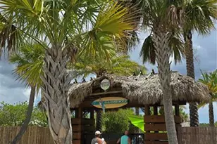 422 Good Life Wy, Daytona Beach, FL 32124 - Photo 47