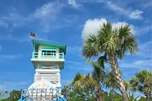 422 Good Life Wy, Daytona Beach, FL 32124 - Photo 53