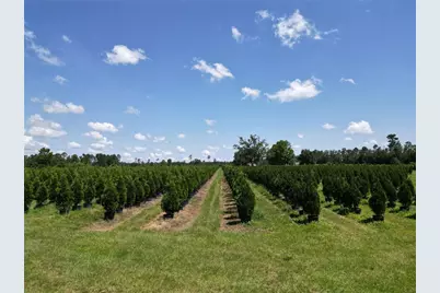 [Address not provided], White Springs, FL 32096 - Photo 23