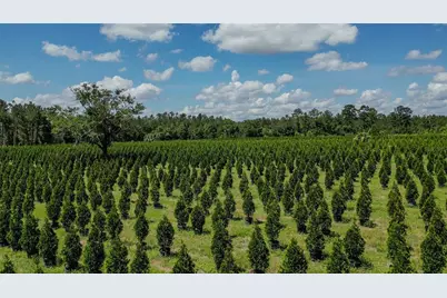 [Address not provided], White Springs, FL 32096 - Photo 7