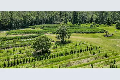 [Address not provided], White Springs, FL 32096 - Photo 17