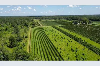 [Address not provided], White Springs, FL 32096 - Photo 13