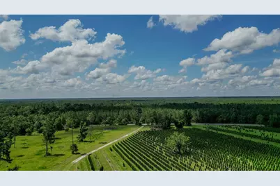 [Address not provided], White Springs, FL 32096 - Photo 11