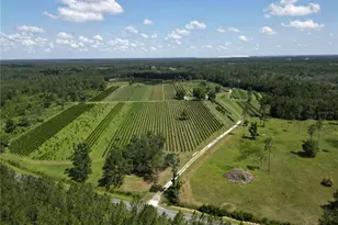 [Address not provided], White Springs, FL 32096 - Photo 1