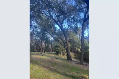 Oak Valley Drive, Deland, FL 32720 - Photo 1