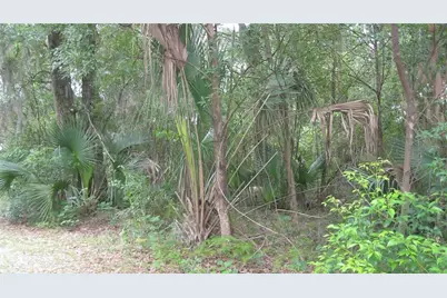 Oak Valley Drive, Deland, FL 32720 - Photo 3