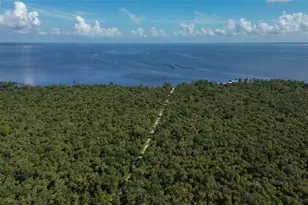 22040 Blue Creek Lodge Rd, Astor, FL 32102 - Photo 43