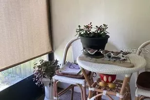 301 Paradise Ln, Edgewater, FL 32132 - Photo 19