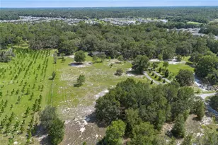 1741 Alanson Dr, Deland, FL 32724 - Photo 47