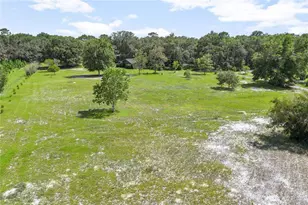 1741 Alanson Dr, Deland, FL 32724 - Photo 57