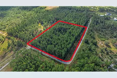 2 Wild Cur Road, Pierson, FL 32180 - Photo 1