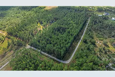 2 Wild Cur Road, Pierson, FL 32180 - Photo 7