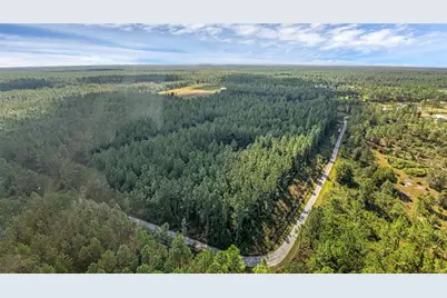 2 Wild Cur Road, Pierson, FL 32180 - Photo 9