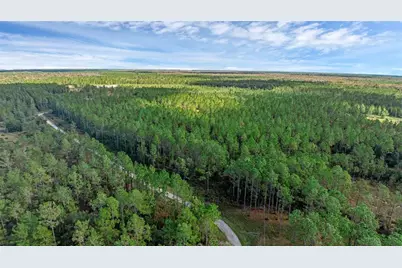 1 Wild Cur Road, Pierson, FL 32180 - Photo 7