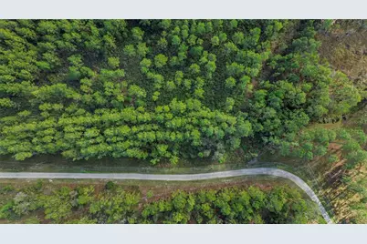 1 Wild Cur Road, Pierson, FL 32180 - Photo 9