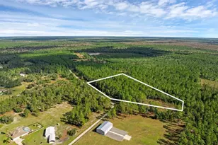 1 Wild Cur Rd, Pierson, FL 32180 - Photo 1