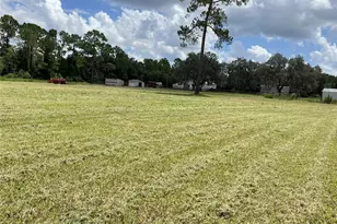 820 Chicken Farm Rd, Osteen, FL 32764 - Photo 21