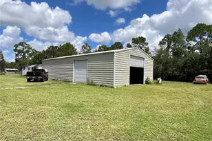 820 Chicken Farm Rd, Osteen, FL 32764 - Photo 3