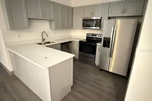 10 Guava Ln Course, Ocklawaha, FL 32179 - Photo 3