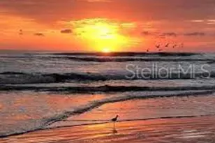 3606 Maribella Dr, New Smyrna Beach, FL 32168 - Photo 11