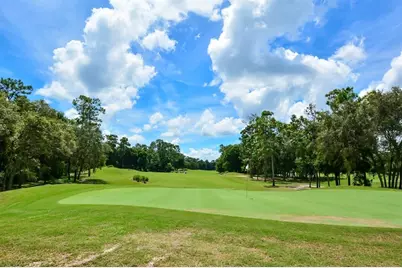 615 Ravenshill Way, Deland, FL 32724 - Photo 45