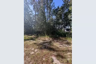 Woodland Avenue, Paisley, FL 32767 - Photo 3