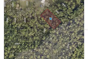 Raccoon St, Paisley, FL 32767 - Photo 1