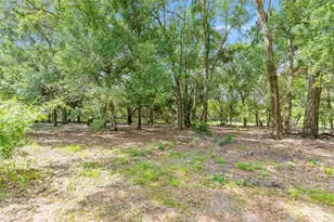 810 Plum-Nearly Ln, Lady Lake, FL 32159 - Photo 19
