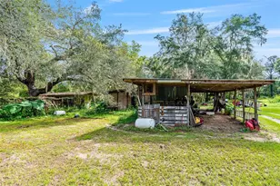 810 Plum-Nearly Ln, Lady Lake, FL 32159 - Photo 23