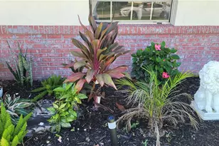 907 Marlboro Dr, Deland, FL 32724 - Photo 7