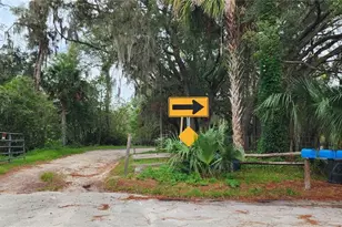 711 Sunset Ave, Orange City, FL 32763 - Photo 3