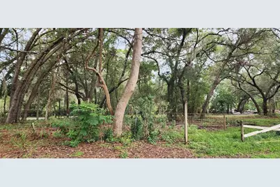 711 Sunset Avenue, Orange City, FL 32763 - Photo 1