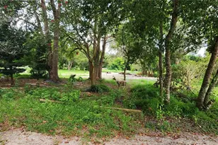 711 Sunset Ave, Orange City, FL 32763 - Photo 11