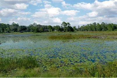 31725 Spruce Drive, Eustis, FL 32727 - Photo 3