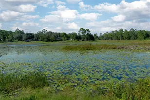 31725 Spruce Dr, Eustis, FL 32727 - Photo 3